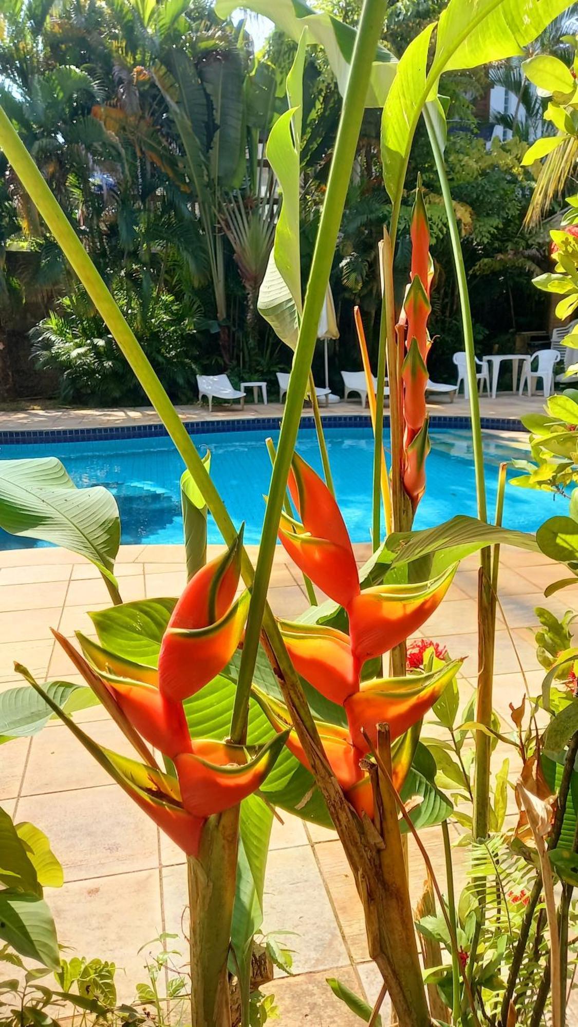 Pousada Aparas Hotel Sao Sebastiao  Luaran gambar